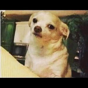 Meet your Posher, Yeni